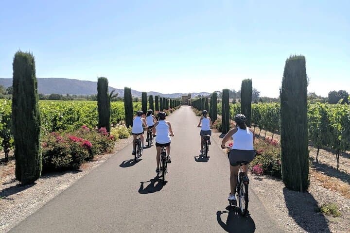 Pedal and Pour: Sonoma Valley Ebike Wine Tour