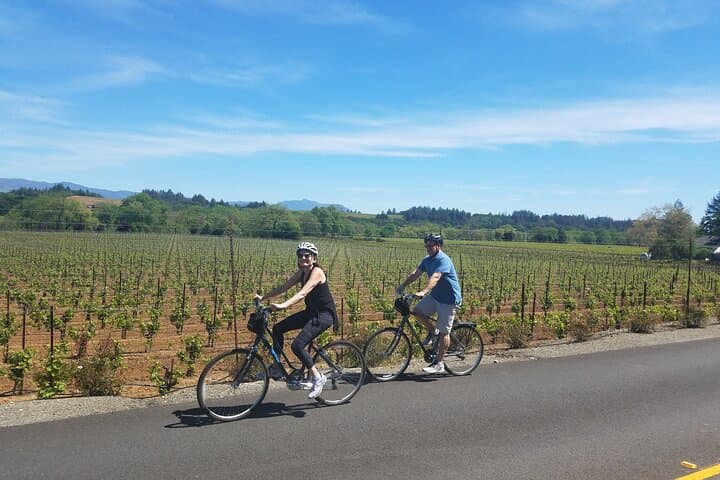 Half-Day Off-Road Bike Tour Through Napa and Sonoma Vineyards photo 1