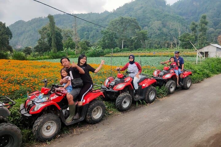 Mount Batur ATV Adventure: Quad Biking Across Lava Fields and Coffee Plantations photo 3