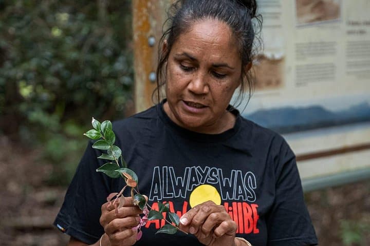 Cape Byron Aboriginal Guided Walk: Bundjalung Stories, Bush Tucker & Coastal Views photo 6