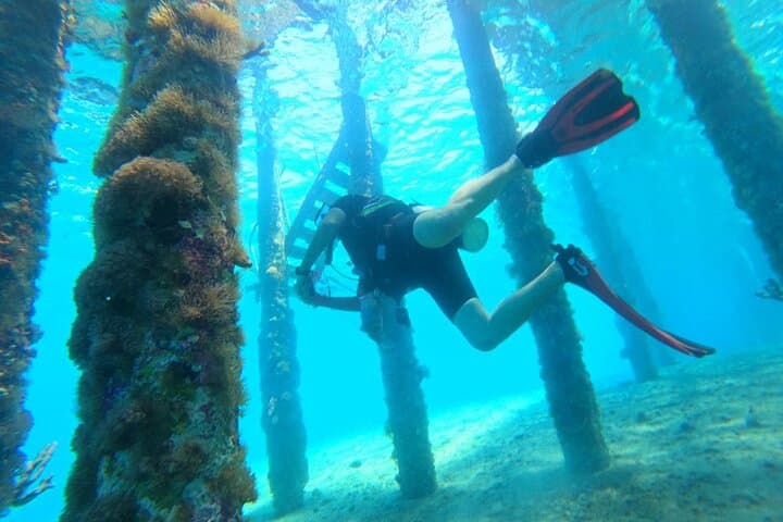 Learn to Dive in Aqaba: Shore PADI Open Water Course on Jordan's Red Sea photo 4
