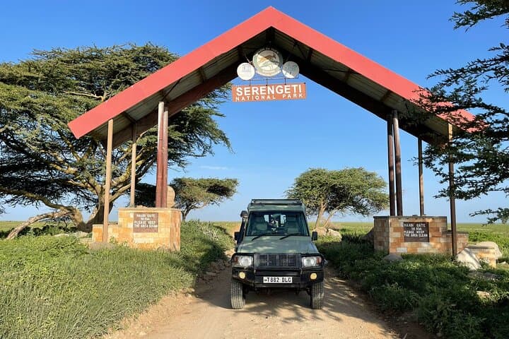 4-day-tarangire-serengeti-ngorongoro-safari photo 5