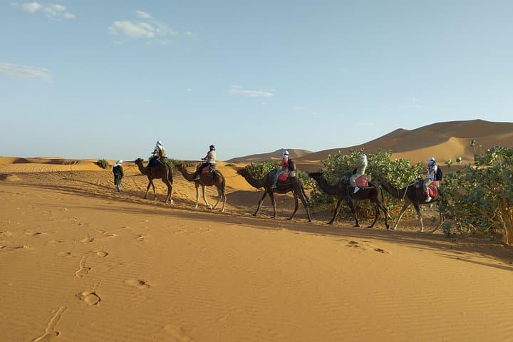 Overnight Private Sahara Camp in Merzouga: Erg Chebbi Camel Trek & Berber Night photo 3
