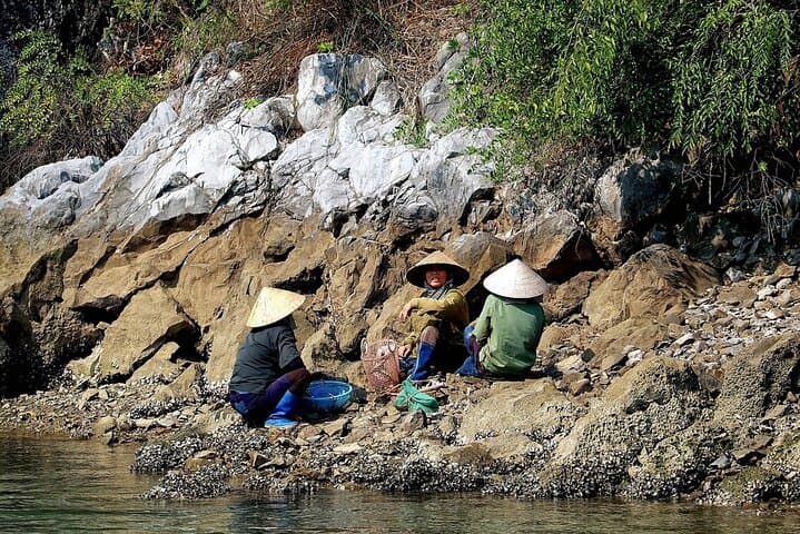 Halong Bay One-Day Cruise from Hanoi: Limestone Karsts & Kayaking photo 2