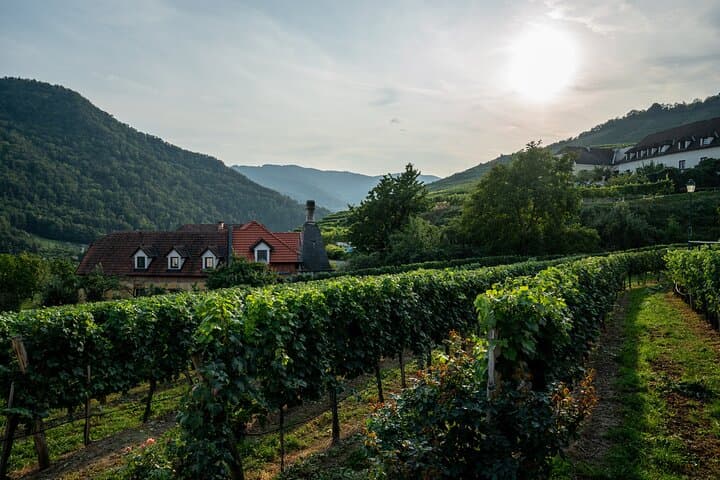 Wachau Valley Wine Tour from Vienna: Private Culinary & Cultural Day Trip photo 5