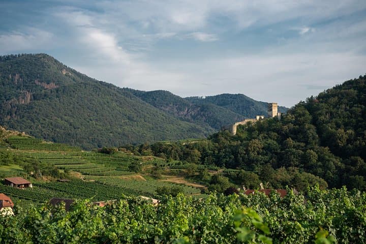 Wachau Valley Wine Tour from Vienna: Private Culinary & Cultural Day Trip photo 4