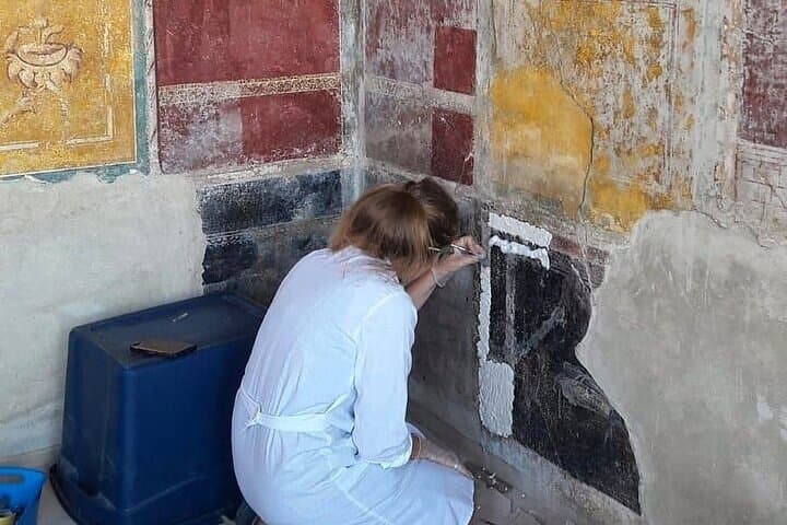 Pompeii and Vesuvius Wine Tasting: Day Tour from Naples photo 6