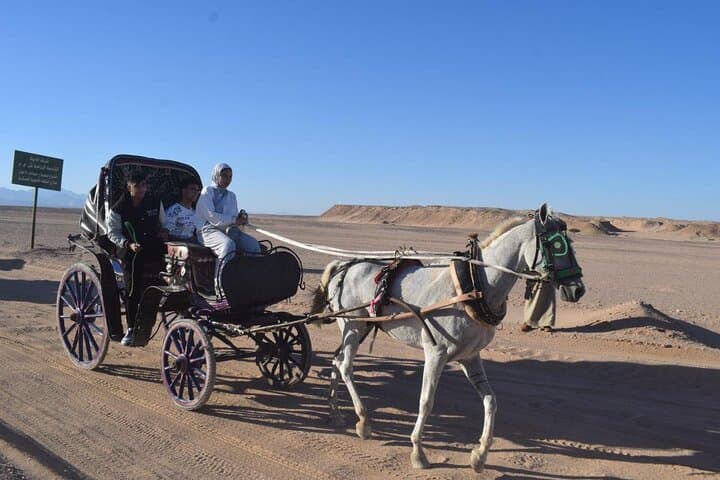 Hurghada Desert Stargazing: Bedouin Oasis Astronomy Night photo 4