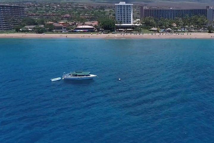 Sea-Scooter Snorkel to Lanai: Half-Day Guided Tour from Kaanapali photo 3