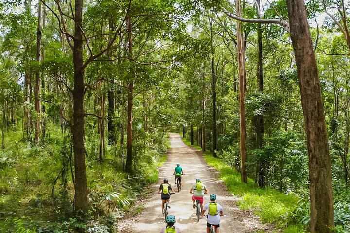 Unicorn Falls E‑Bike Tour: Rail Trail to Rainforest Swim