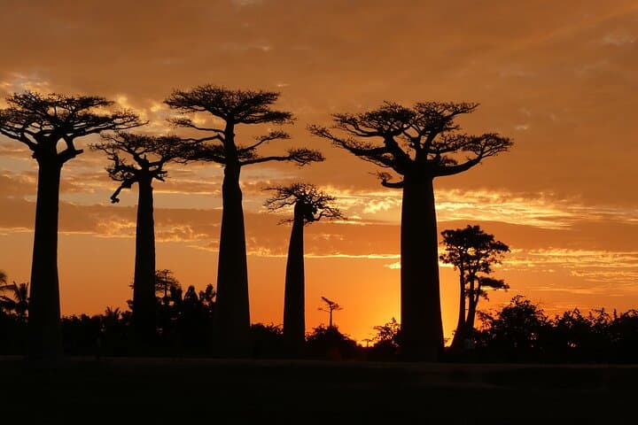Tsiribihina River Barge & Tsingy de Bemaraha Expedition — 9-Day Madagascar Wilderness Cruise photo 3