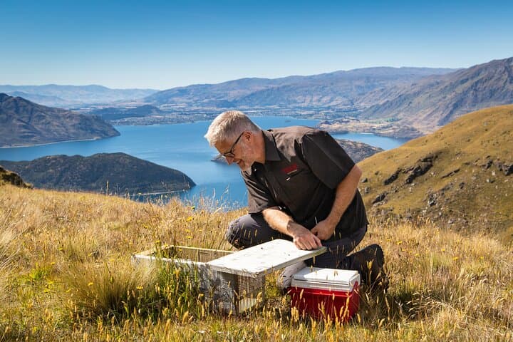 Wild Hills 4WD Safari — West Wanaka Station Alpine Adventure & Lake Wanaka Views photo 5