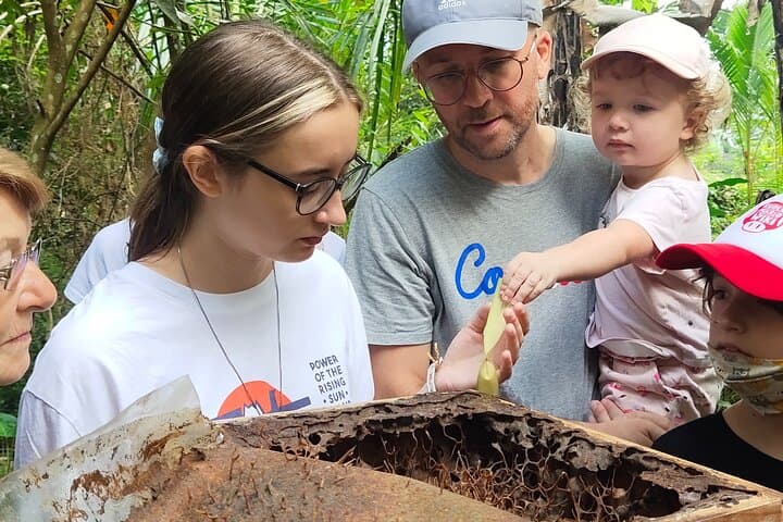 Ubud Stingless Bee Honey Farm & Beekeeping Tour — Taste Bali's Wild Honey photo 1