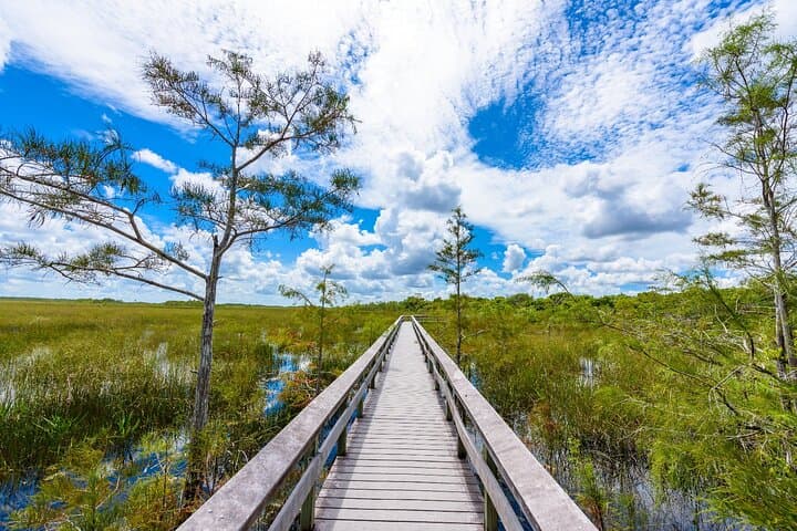 Everglades Self-Guided Driving Audio Tour — 48-Mile River of Grass Route