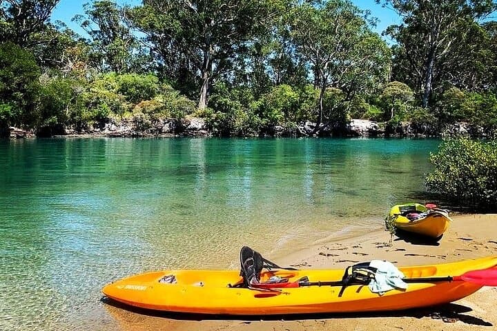 Sunset Kayak Eco Tour in Coffs Harbour with a Marine Scientist photo 3