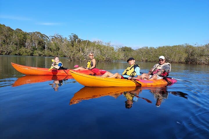 Sunset Kayak Eco Tour in Coffs Harbour with a Marine Scientist photo 4