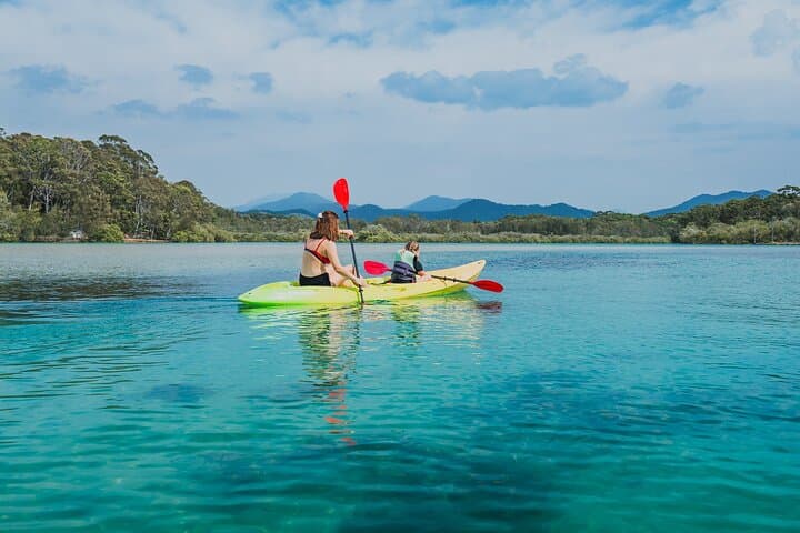 Sunset Kayak Eco Tour in Coffs Harbour with a Marine Scientist photo 5