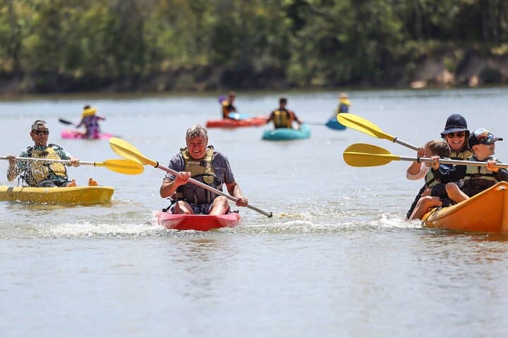 Sunset Kayak Eco Tour in Coffs Harbour with a Marine Scientist photo 6
