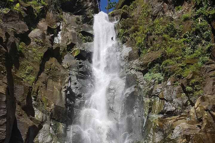 Advanced Canyon Experience — Dominica Waterfall Rappel in Rainforest Canyons photo 3