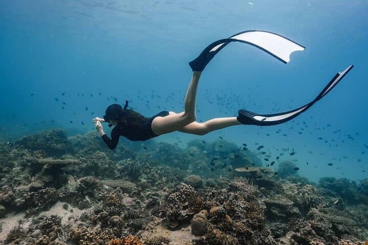 Snorkel Coron’s WWII Shipwrecks & Lusong Coral Garden — Private Half-Day Boat Tour