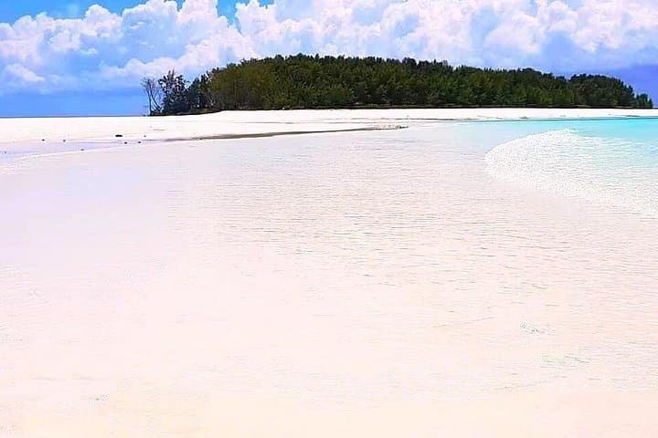 Mnemba Island Snorkel & The Rock Restaurant: Dolphins, Atoll Reef and Sandbank Escape photo 4