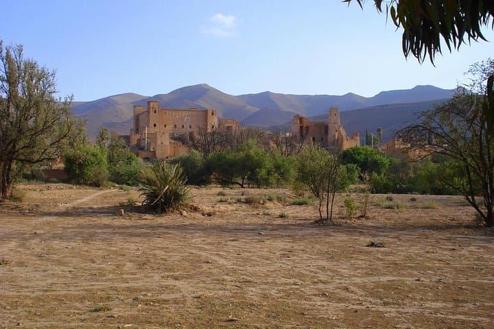 Taroudant and Tiout Day Trip from Agadir: Explore the Red-Walled Medina and Oasis Kasbah photo 3
