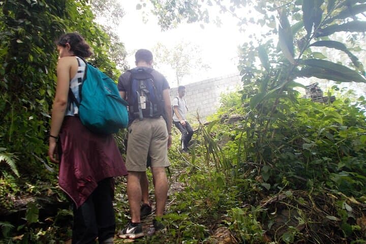 Full-Day Trek in Munnar: 16 km Tea & Spice Plantation Walk photo 2