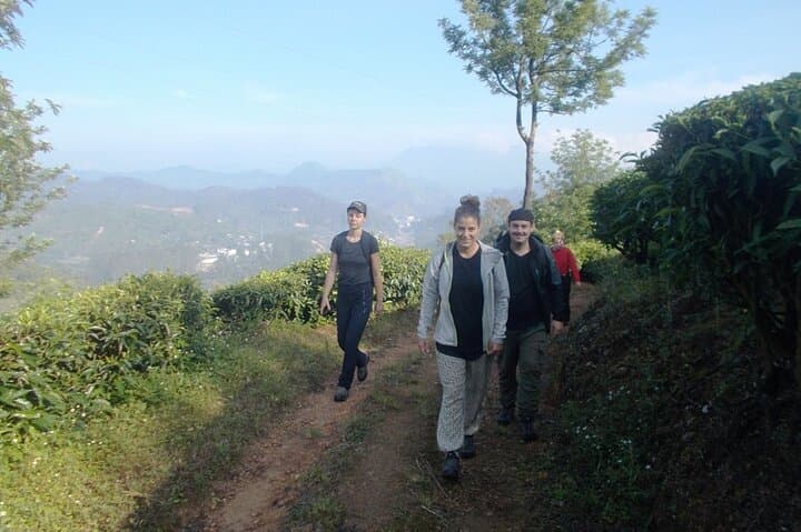Full-Day Trek in Munnar: 16 km Tea & Spice Plantation Walk photo 5