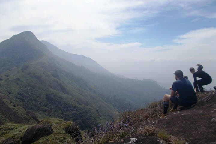 Full-Day Trek in Munnar: 16 km Tea & Spice Plantation Walk photo 6