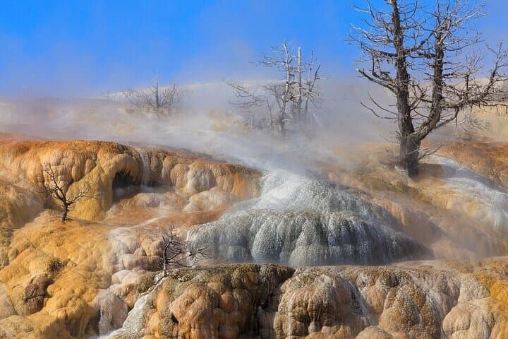Full-Day Yellowstone Highlights Tour from Bozeman — Old Faithful, Grand Prismatic & Wildlife photo 3