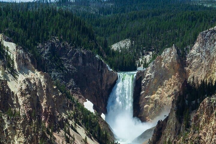 Full-Day Yellowstone Highlights Tour from Bozeman — Old Faithful, Grand Prismatic & Wildlife photo 5