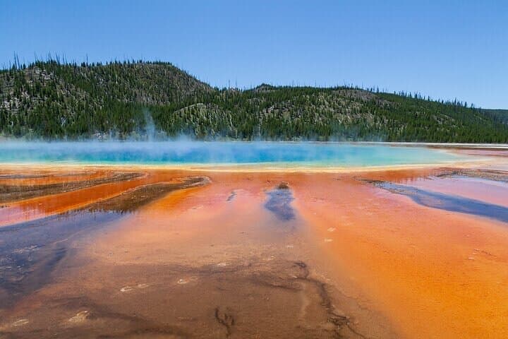 Best of Yellowstone: Full-Day Guided Tour from Gardiner