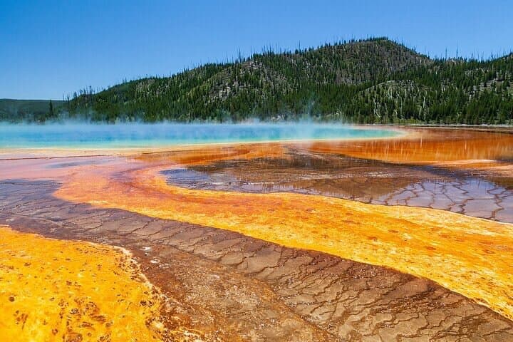 Best of Yellowstone Private Day Safari from Paradise Valley: Grand Prismatic to Hayden Valley