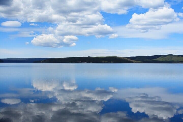 Best of Yellowstone Private Day Safari from Paradise Valley: Grand Prismatic to Hayden Valley photo 3