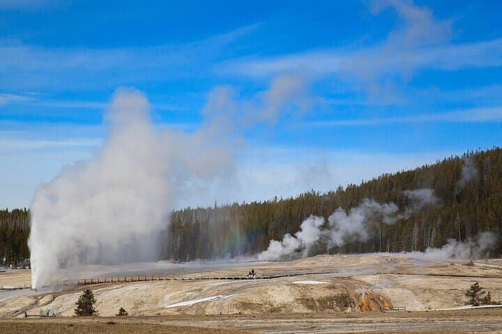 Best of Yellowstone National Park: Full-Day Private Safari from West Yellowstone photo 6