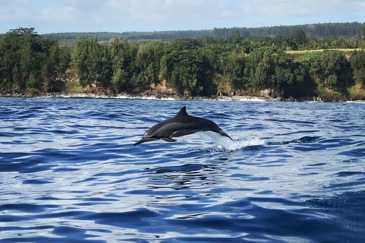 Exploring Hilo’s Waters: Onomea Waterfall Cruise Amid Sea Cliffs and History photo 4