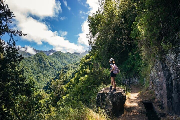 Levada do Rei (PR18) Hike — Walk the Laurissilva along Ribeiro Bonito photo 3