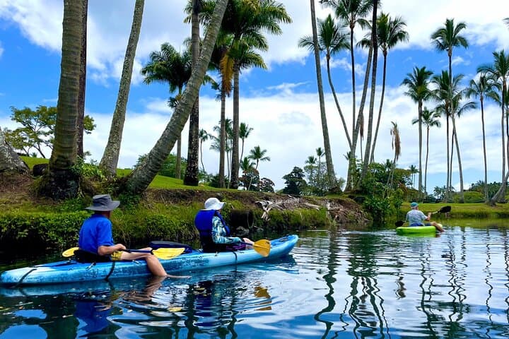 Paddle Wailoa River: Hilo Kayak to the King Kamehameha Statue photo 2