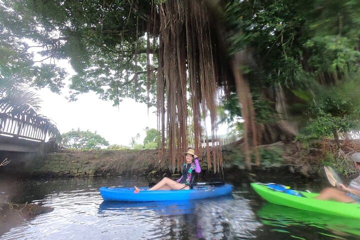 Paddle Wailoa River: Hilo Kayak to the King Kamehameha Statue photo 5