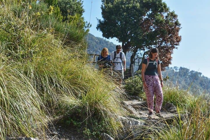Path of the Gods: Amalfi Coast Hiking Tour from Agerola
