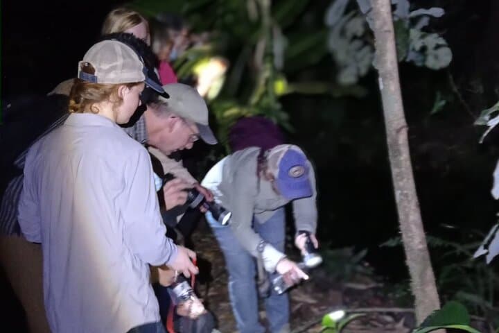 La Fortuna Night Walk: Frog Garden & Tapir River Corridor Experience