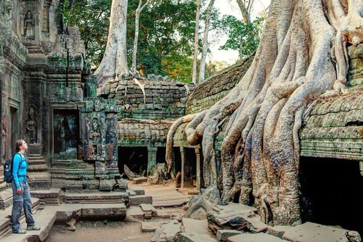 Angkor Sunrise Tour: Angkor Wat, Ta Prohm & Bayon Full-Day photo 6