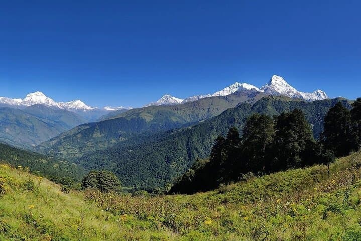 Morare Danda Community Trek: 6-Day Annapurna Alternative From Pokhara photo 6