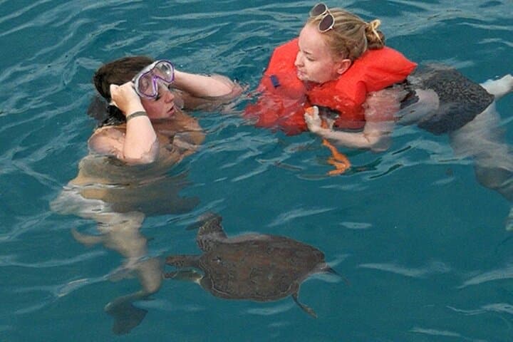 Ayia Napa Lazy Day Cruise to Blue Lagoon & Turtle Cove (Lunch Included) photo 4