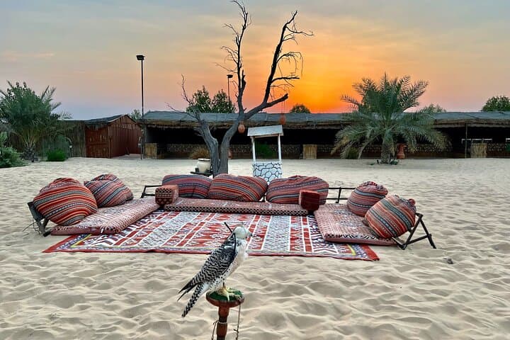 Evening Desert Safari Abu Dhabi — Dune Bashing, Sandboarding, Camel Rides & BBQ photo 6