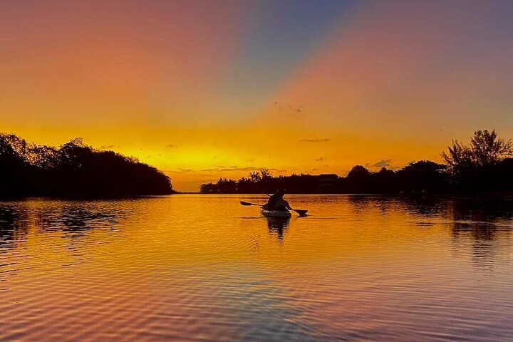 Mauritius Sunrise Kayak: Guided Tamarin River Morning Tour photo 3