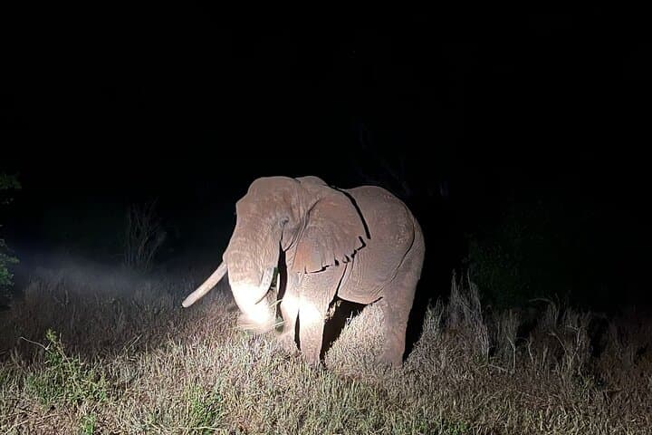 Train to Lions Bluff Lodge: 3-Day Lumo Conservancy Safari from Mombasa photo 3