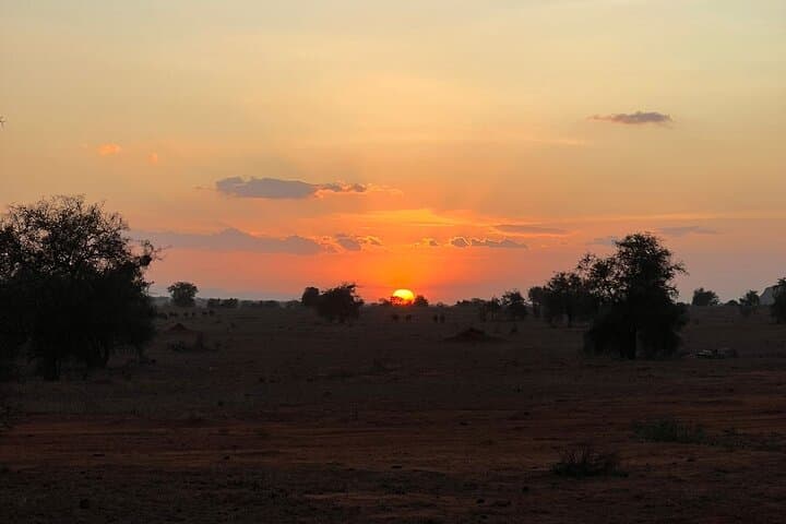 Train to Lions Bluff Lodge: 3-Day Lumo Conservancy Safari from Mombasa photo 4