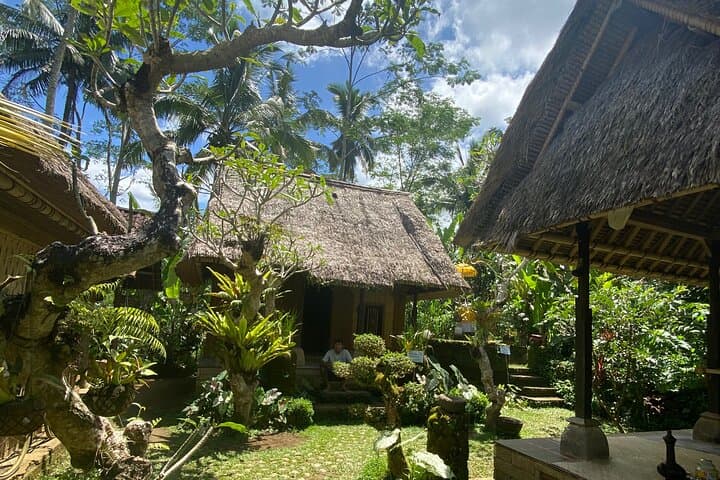 Kintamani & Mount Batur Day Tour: Temples, Rice Terraces and Volcano Lunch photo 4
