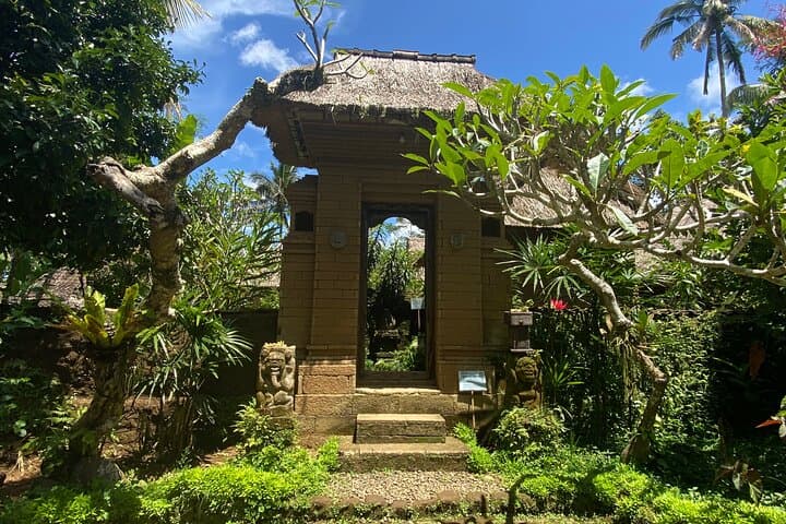 Kintamani & Mount Batur Day Tour: Temples, Rice Terraces and Volcano Lunch photo 6